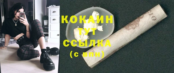 дживик Абаза