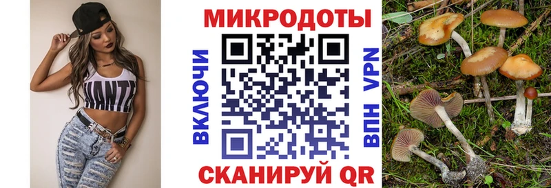 кракен Алзамай shop формула как найти закладки Псилоцибиновые грибы Cubensis