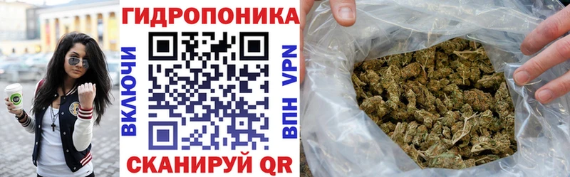 Бошки Шишки конопля  Алзамай 